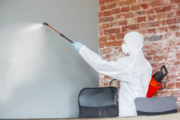 Best Commercial Mold Inspection  in Glastonbury Center, CT