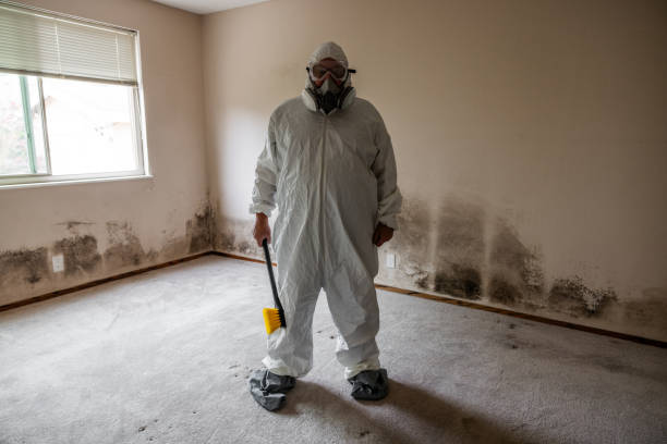 Best Asbestos and Lead Testing During Mold Inspection  in Glastonbury Center, CT